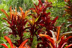 Hawaii - 093